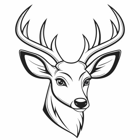 Deer head drawing. Antlers are prominent. Line art portraitのイラスト素材