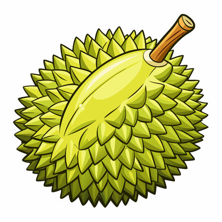 Spiky fruit illustration. Tropical durian with rough texture and stemのイラスト素材