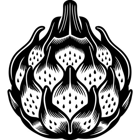 Stylized black and white graphic of a dragon fruitのイラスト素材