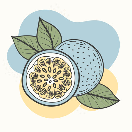 Cut passion fruit illustration with leaves and pastel background. Simple, clean styleのイラスト素材