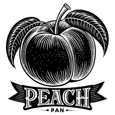 Black and white illustration of a peach with leaves and a bannerのイラスト素材