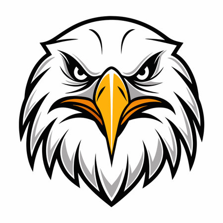 Fierce eagle head, detailed vector illustrationのイラスト素材