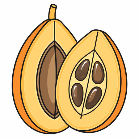 Bright cartoon illustration of two loquat fruits, one halved revealing seeds and juicy orange fleshのイラスト素材