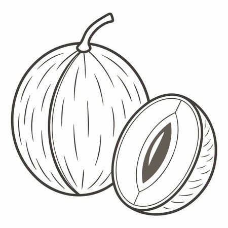 Monochromatic line art of a whole ribbed fruit with a stem next to a sliced half revealing its seedのイラスト素材