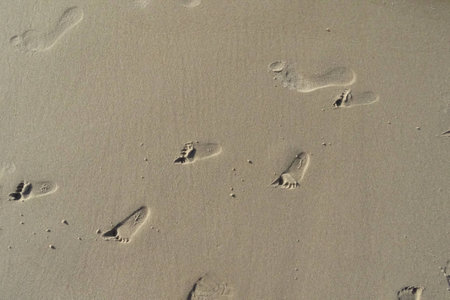 footprints in the sand