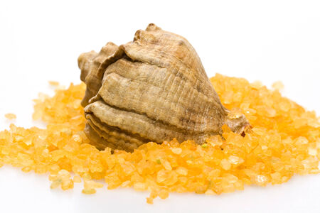 seashell and colored sea salt on white