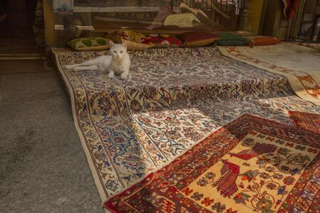 Van cat lying on Turkish carpets in front of a shop in Istanbul