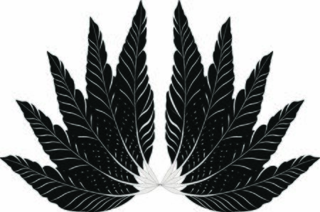 wing illustration drawing from a collection of feather pictures in black and white for a fabric theme or patternのイラスト素材