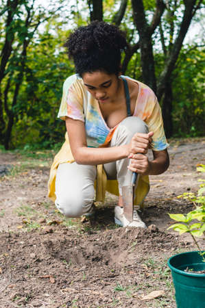 young brunette girl with afro in a public park working digging a hole in the ground to plant a tree,...