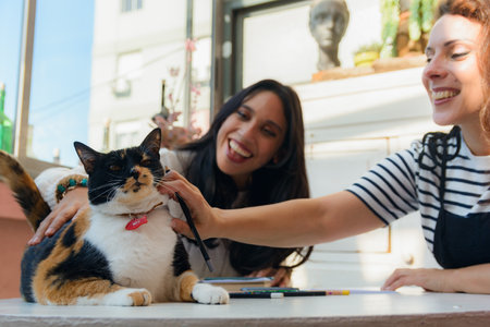 Two happy young student Women smiling and contented, sitting at home, they are caressing the tricolor cat that sat on the study table to get attention, focus on the catの写真素材