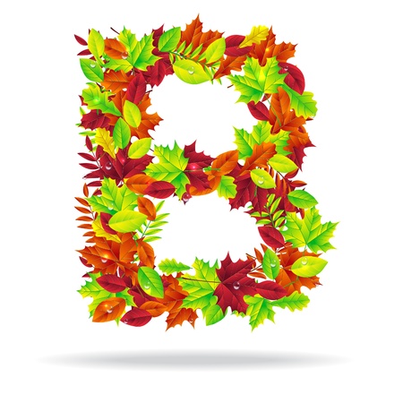 autumn letters with drops of waterのイラスト素材