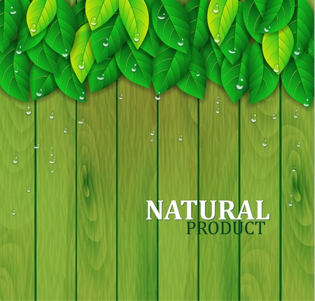 Green leaves on a wooden backgroundのイラスト素材