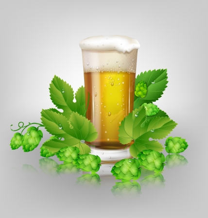 glass of beer and hopsのイラスト素材