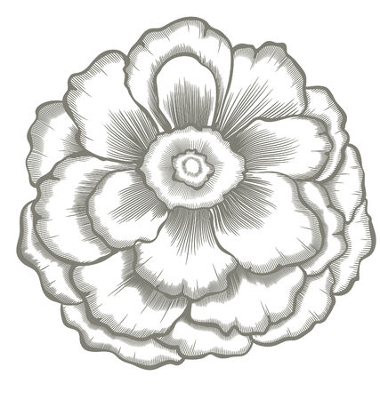 hand painted flowerのイラスト素材