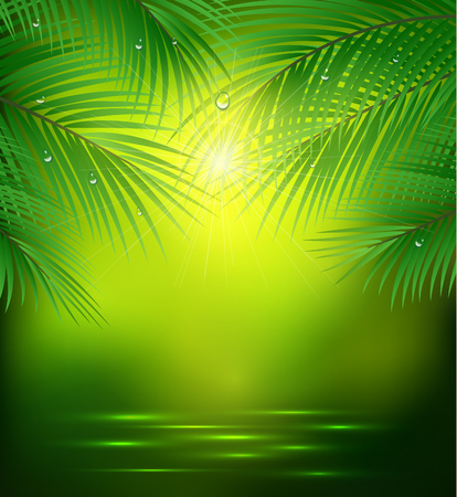 green background with palm branchesのイラスト素材