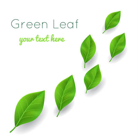 background with green leaves realisticのイラスト素材