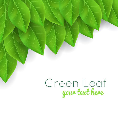 background with green leaves realisticのイラスト素材