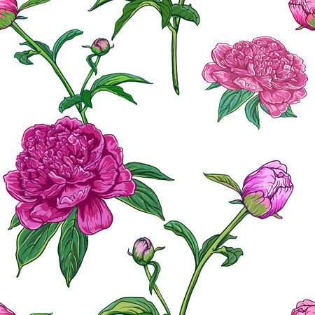 Vintage floral seamless pattern with peoniesのイラスト素材