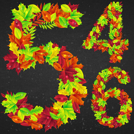 Autumn fall bright orange leaves numberのイラスト素材