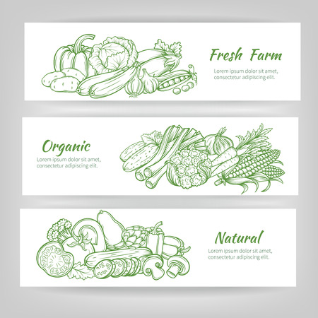 vector  set horizontal banners with  draw vegetablesのイラスト素材