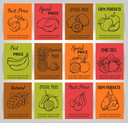 Hand draw bright vector  fruits banner, stickers.のイラスト素材