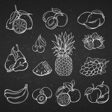 Vector set of different hand drawn decorative fruit . White line on the black .のイラスト素材