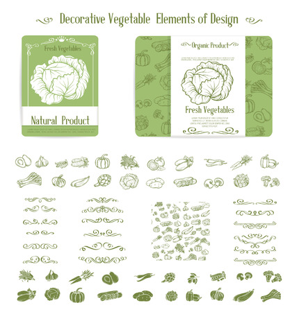 Set of decorative elements of vegetables and swirl dividers for design. Hand drawn vegetables vector icons.のイラスト素材