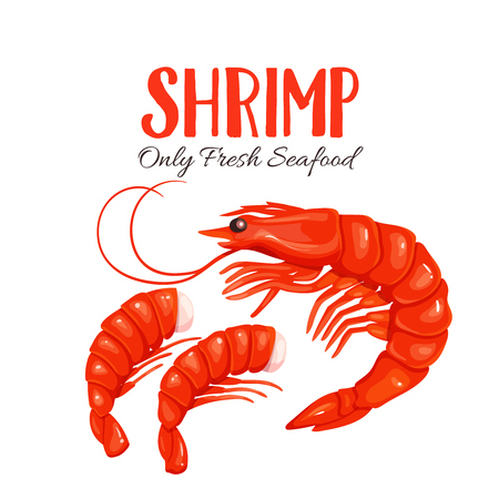 Shrimp vector illustration in cartoon style. Seafood product design.のイラスト素材