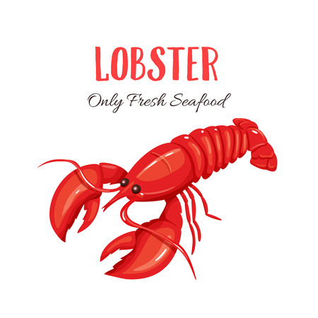 Lobster vector illustration in cartoon style. Seafood product design.のイラスト素材