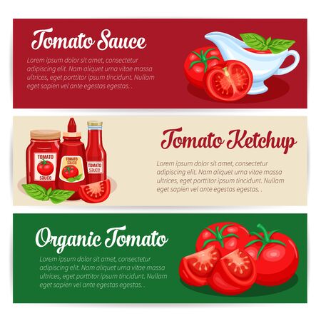 Tomato sauce design set of banners.のイラスト素材