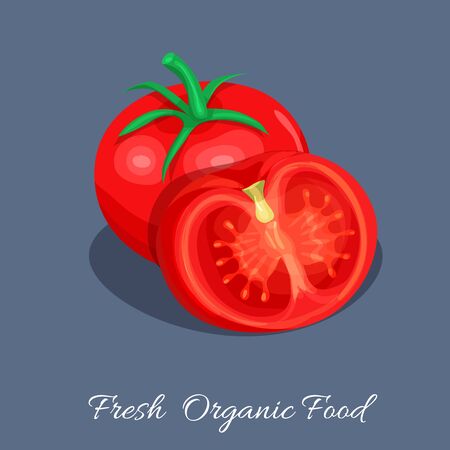 Vector tomato.のイラスト素材