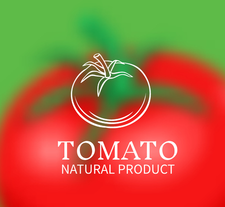 Hand drawn tomato on a blurred background.のイラスト素材