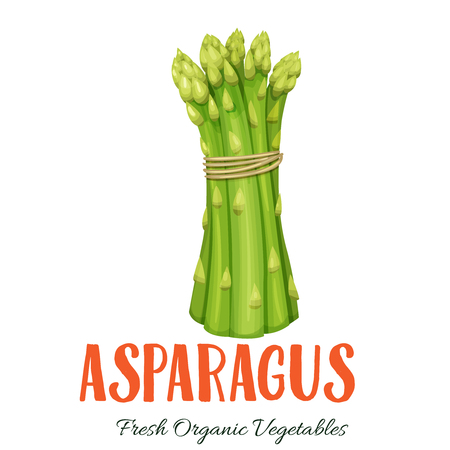 Vector asparagus vegetableのイラスト素材