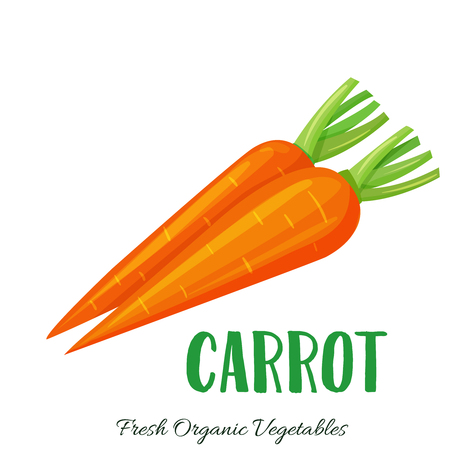 Vector carrot vegetableのイラスト素材