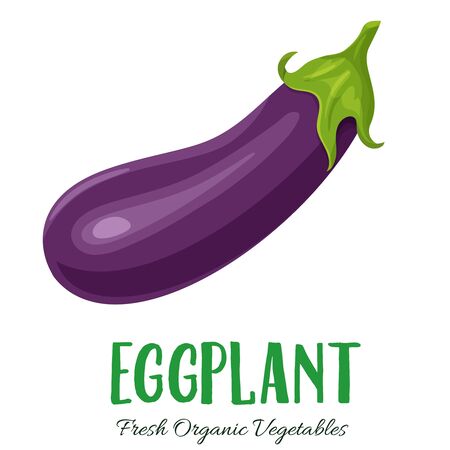 Vector eggplant vegetableのイラスト素材