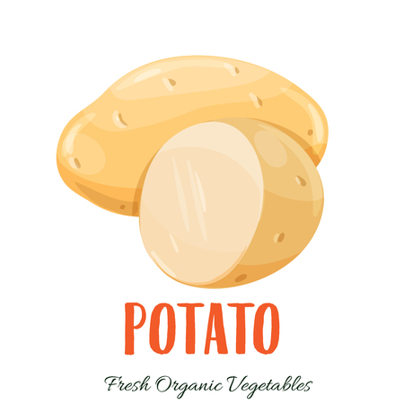 Vector potato vegetableのイラスト素材
