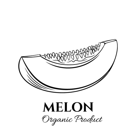 Hand drawn melon icon. Vector badge fruit in the old ink style for brochures, banner, restaurant menu and marketのイラスト素材