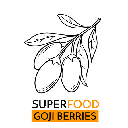 Hand drawn vector icon superfood goji berry. Sketch Illustration in vintage style. Design Template Healthy food.のイラスト素材