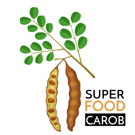 Carob vector icon.のイラスト素材