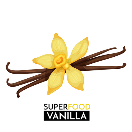 Vanilla vector icon.のイラスト素材