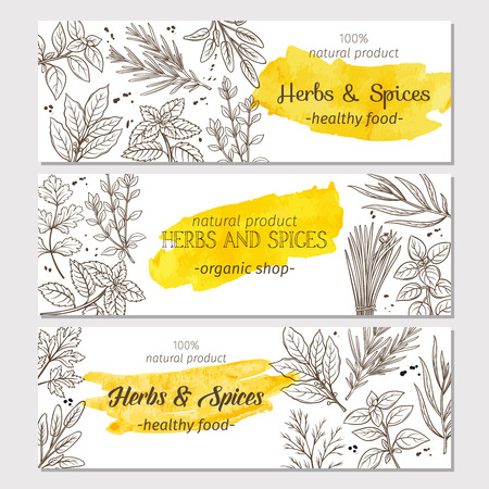 sketch herbs and spicesのイラスト素材