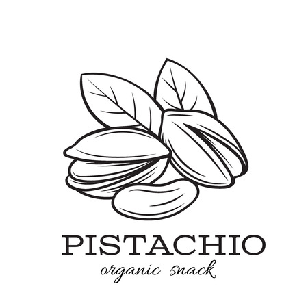 hand drawn pistachio nutsのイラスト素材