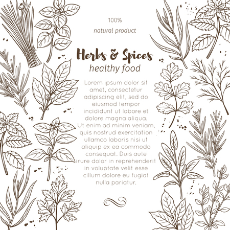 Market menu designのイラスト素材