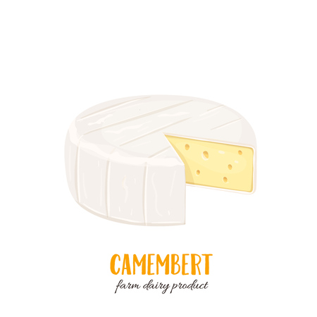 camembert cheese iconのイラスト素材
