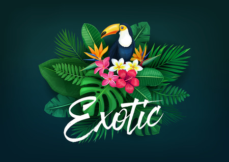 tropical banner with toucanのイラスト素材