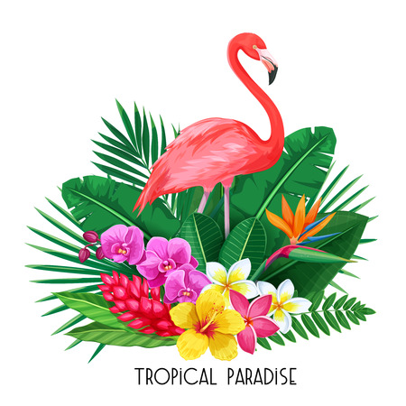 tropical banner with toucanのイラスト素材