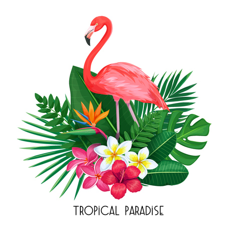 tropical banner with toucanのイラスト素材