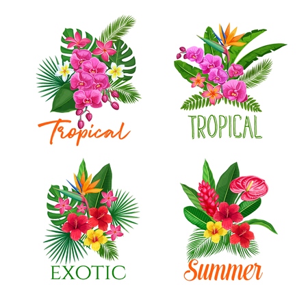 Tropical banners, flowerのイラスト素材