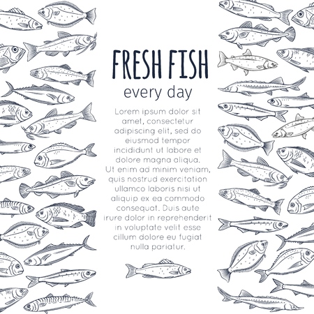 Fish background. Vector page seafood design with bream, mackerel, tunny or sterlet, codfish and halibut. Outline icon tilapia, ocean perch, sardine, anchovy, sea bass and dorado. Retro styleのイラスト素材