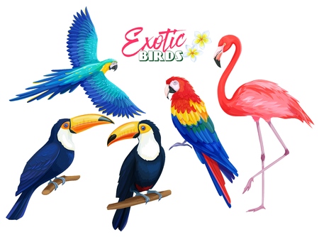 Exotic birds. Parrot, flamingo and toucan. Cartoon iluustration for summer tropical paradise advertising vacation design.のイラスト素材